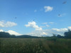 Działka lubelskie
biłgorajski
Józefów
Czarny Las Na sprzedaż 290 000 PLN 26 058 m2 