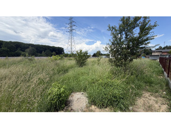Działka śląskie
mikołowski
Orzesze Na sprzedaż 250 000 PLN 800 m2 