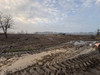 Działka dolnośląskie
trzebnicki
Wisznia Mała
Ozorowice Na sprzedaż 407 000 PLN 1850 m2 