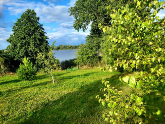 Działka kujawsko-pomorskie
lipnowski
Kikół
Jarczechowo Na sprzedaż 618 000 PLN 4127 m2 