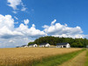 Dom świętokrzyskie
buski
Busko-Zdrój
Skorzów Na sprzedaż 830 000 PLN 146,1 m2 