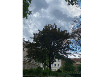 Mieszkanie mazowieckie
Warszawa
Śródmieście Do wynajęcia 2500 PLN 40 m2 