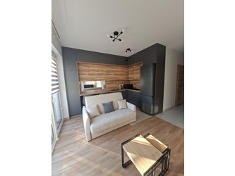 Mieszkanie łódzkie
Łódź Do wynajęcia 1900 PLN 27 m2 