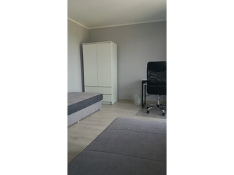 Pokój lubuskie
Zielona Góra Do wynajęcia 900 PLN 