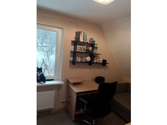 Pokój pomorskie
Gdańsk
Strzyża Do wynajęcia 1000 PLN 