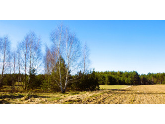 Działka pomorskie
kościerski
Stara Kiszewa
Lipy Na sprzedaż 108 775 PLN 1145 m2 