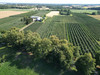 Działka mazowieckie
warszawski zachodni
Kampinos
Pasikonie Na sprzedaż 150 000 PLN 1073 m2 