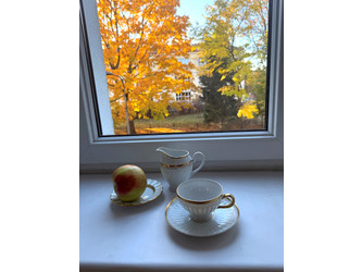 Mieszkanie mazowieckie
Warszawa
Bielany Do wynajęcia 3300 PLN 40 m2 