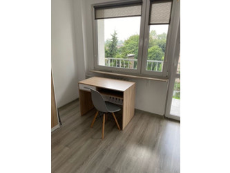 Pokój śląskie
Katowice
Ligota Do wynajęcia 1150 PLN 