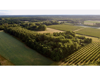 Działka mazowieckie
żyrardowski
Puszcza Mariańska
Karnice Na sprzedaż 340 000 PLN 5200 m2 