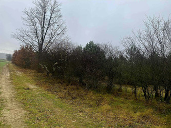 Działka mazowieckie
miński
Stanisławów
Sokóle Na sprzedaż 3 300 000 PLN 33 000 m2 