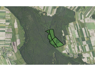 Działka podkarpackie
przeworski
Sieniawa
Rudka Na sprzedaż 1 599 000 PLN 250 000 m2 