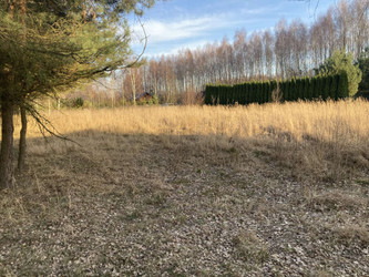 Działka lubelskie
włodawski
Urszulin
Grabniak Na sprzedaż 78 000 PLN 1100 m2 