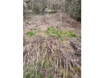 Działka wielkopolskie
obornicki
Oborniki
Objezierze Na sprzedaż 15 000 PLN 300 m2 