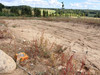 Działka pomorskie
kartuski
Chmielno
Borzestowo Na sprzedaż 124 000 PLN 1041 m2 