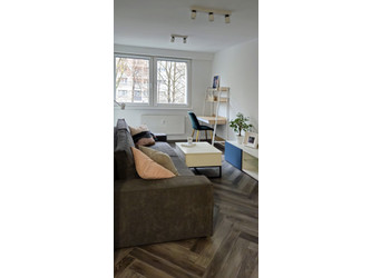 Mieszkanie śląskie
Katowice
Koszutka Do wynajęcia 2000 PLN 34 m2 