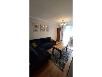 Mieszkanie opolskie
Opole Do wynajęcia 1900 PLN 39 m2 