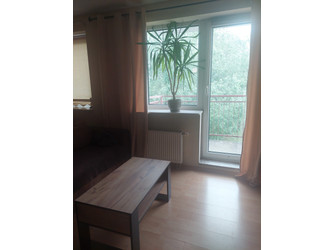 Mieszkanie mazowieckie
Warszawa
Bielany Do wynajęcia 2500 PLN 32 m2 