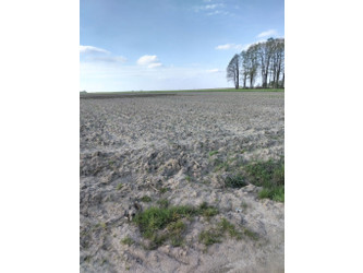 Działka mazowieckie
miński
Latowicz
Latowicz Na sprzedaż 685 000 PLN 5924 m2 