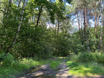 Działka lubelskie
bialski
Rossosz
Mokre Na sprzedaż 13 000 PLN 9226 m2 