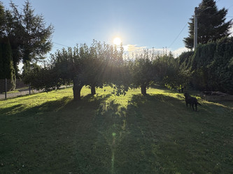 Działka śląskie
tarnogórski
Świerklaniec
Orzech Na sprzedaż 231 000 PLN 660 m2 