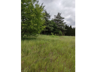 Działka śląskie
tarnogórski
Tworóg
Koty Na sprzedaż 98 000 PLN 648 m2 