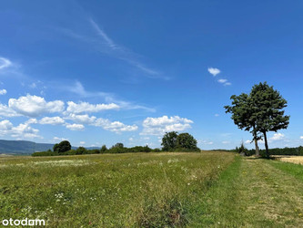 Działka dolnośląskie
kłodzki
Bystrzyca Kłodzka
Mielnik Na sprzedaż 235 000 PLN 3000 m2 