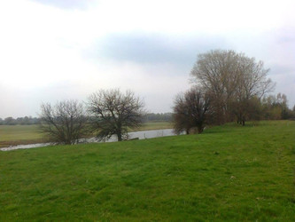 Działka mazowieckie
wyszkowski
Brańszczyk
Udrzyn Na sprzedaż 750 000 PLN 7500 m2 