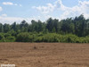 Działka pomorskie
wejherowski
Szemud
Donimierz Na sprzedaż 139 000 PLN 1000 m2 