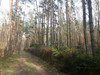 Działka mazowieckie
grodziski
Żabia Wola
Władysławów Na sprzedaż 399 000 PLN 9151 m2 