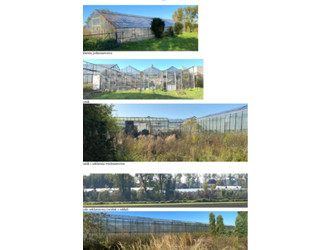 Dom łódzkie
zduńskowolski
Zduńska Wola
Wojsławice Na sprzedaż 664 000 PLN 218 m2 