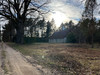 Dom wielkopolskie
czarnkowsko-trzcianecki
Trzcianka
Rychlik Na sprzedaż 570 000 PLN 67 m2 