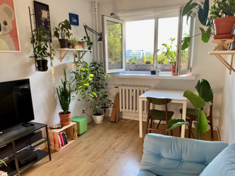 Mieszkanie mazowieckie
Warszawa
Wola Do wynajęcia 3150 PLN 30 m2 