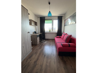 Pokój wielkopolskie
Poznań
Winogrady Do wynajęcia 700 PLN 