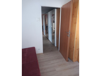 Pokój łódzkie
Łódź Do wynajęcia 650 PLN 