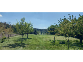 Działka łódzkie
sieradzki
Warta
Lipiny Na sprzedaż 190 000 PLN 13 800 m2 