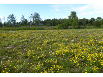 Działka warmińsko-mazurskie
ostródzki
Ostróda
Idzbark Na sprzedaż 90 000 PLN 1216 m2 
