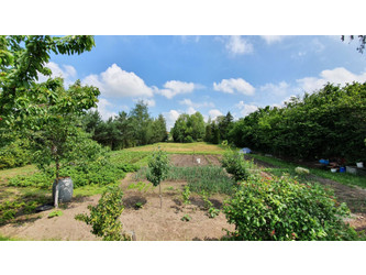 Działka łódzkie
Piotrków Trybunalski Na sprzedaż 1 850 000 PLN 3766 m2 