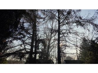 Działka śląskie
pszczyński
Pszczyna
Pszczyna Na sprzedaż 750 000 PLN 1200 m2 