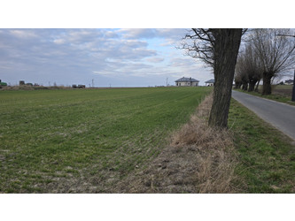 Działka wielkopolskie
kaliski
Blizanów
Pruszków Na sprzedaż 250 000 PLN 1260 m2 