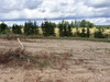 Działka pomorskie
kartuski
Chmielno
Borzestowo Na sprzedaż 124 000 PLN 1041 m2 