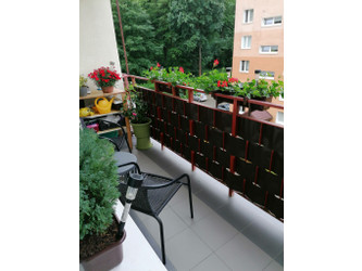 Mieszkanie pomorskie
wejherowski
Wejherowo Do wynajęcia 1700 PLN 36 m2 