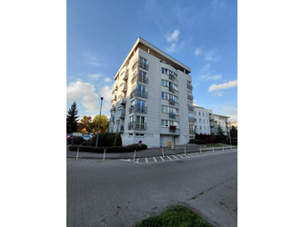 Mieszkanie wielkopolskie
Poznań
Grunwald Do wynajęcia 1700 PLN 36,5 m2 
