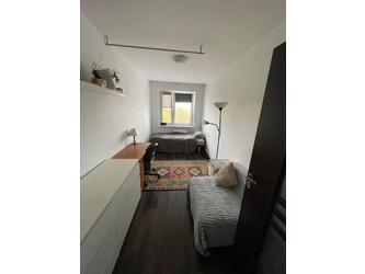 Pokój wielkopolskie
Poznań
Piątkowo Do wynajęcia 950 PLN 