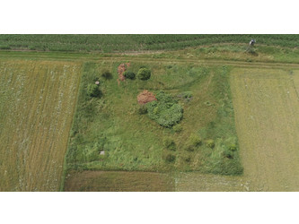 Działka opolskie
strzelecki
Strzelce Opolskie
Ligota Dolna Na sprzedaż 119 999 PLN 2552 m2 