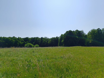 Działka dolnośląskie
kłodzki
Bystrzyca Kłodzka
Topolice Na sprzedaż 99 000 PLN 5900 m2 