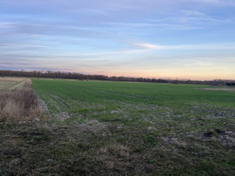 Działka wielkopolskie
obornicki
Rogoźno
Garbatka Na sprzedaż 20 018 780 PLN 52 681 m2 