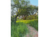 Działka wielkopolskie
Poznań
Morasko-Radojewo
Morasko Na sprzedaż 1 290 000 PLN 2132 m2 