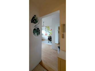 Mieszkanie łódzkie
Łódź Do wynajęcia 2500 PLN 30 m2 