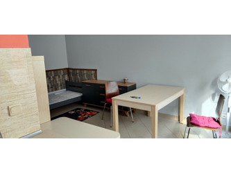 Mieszkanie mazowieckie
Warszawa
Śródmieście Do wynajęcia 2200 PLN 24 m2 